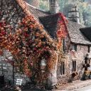 autumntidings avatar