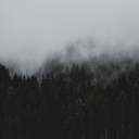 autumnus-aeterna avatar