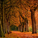 autumnwinterandrecipes avatar