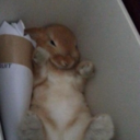 avacaado-blog avatar