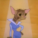 avacadontwannabehere avatar