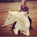 avagibson-blog avatar