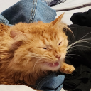 avalon-stegodeus avatar