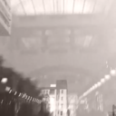 avantgardener7 avatar