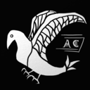 avariciouscrow avatar