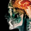 avatar-of-the-web avatar