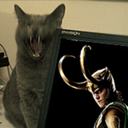 avenger-kitty-glorious-purr-blog avatar
