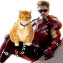 avengerswithcats avatar