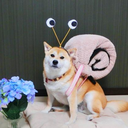 average-blog-at avatar