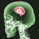 averageboginhabitor avatar