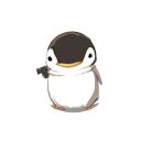 averagedumbbitch avatar