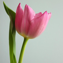 averagejoe1989 avatar