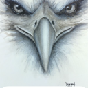 averageshmosworld avatar