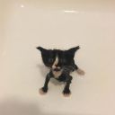 averagesnailenjoyer avatar