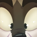 aviatorbear avatar