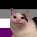 avid-avian-says avatar