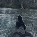 avis-insomnis avatar