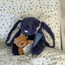 avis-writeshq avatar