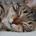 avivamaligua-blog avatar