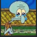 avocadolizarddesk avatar