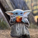 avocadoravenclaw01 avatar