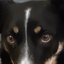 avocados-are-good avatar