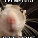 avocadotoastinspace avatar