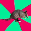 avoidantarmadillo avatar