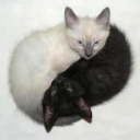 avoidingwinter avatar