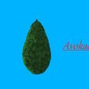 avokado-the-great avatar