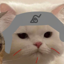 avversiera-writes avatar