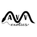 avvexotics-blog avatar