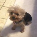 awakemysoul69 avatar