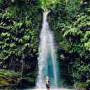 awakenedlilac avatar