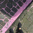 awakenunafraid avatar