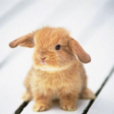 awakyninglife avatar