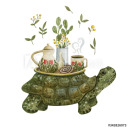 awanderingtortoise avatar