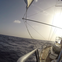 aweedprincess avatar