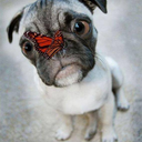 awesome-colonia avatar