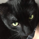 awesome-tiggy avatar