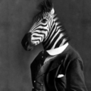 awesome-zebra avatar