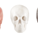 awesomeasfuck96 avatar