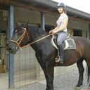 awesomedarkohorses avatar