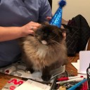 awesomedorkwad avatar