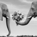 awesomemay16boo avatar