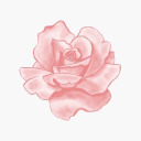 awesomenemurin avatar