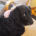 awesomesauceeisa avatar