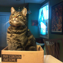 awesomestuffplace avatar