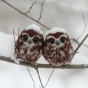 awesometrackname avatar