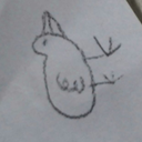 awesomnarwhal-blog avatar